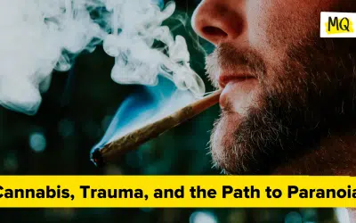 Cannabis, Trauma, and the Path to Paranoia