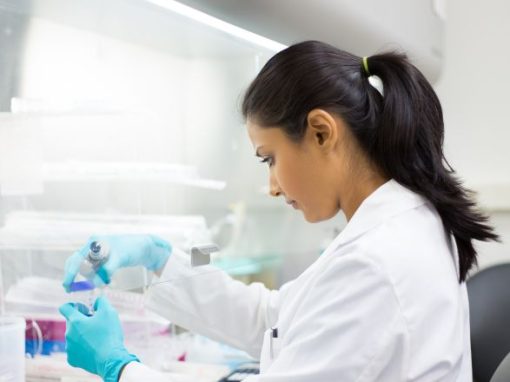 Investigating Brain Circuits Involved in Obsessive Compulsive Disorder
