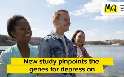 The genetic risk factors for depression