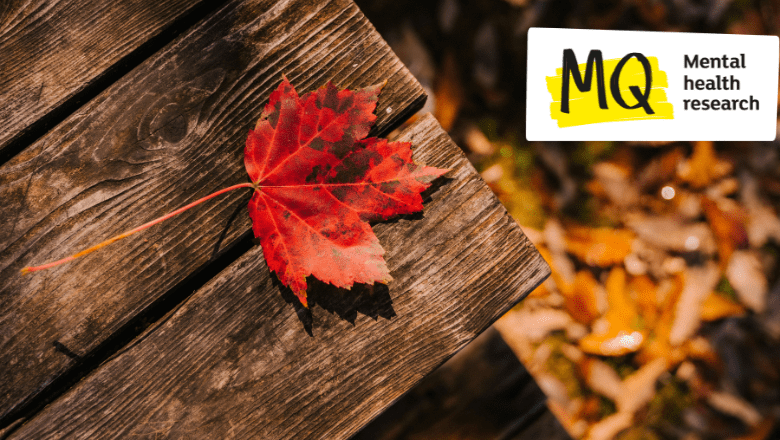 An autumnal leaf rests on a wooden table top which looks like a bench. We look at it from above and see on the floor more brown autumn leaves on the ground beneath.