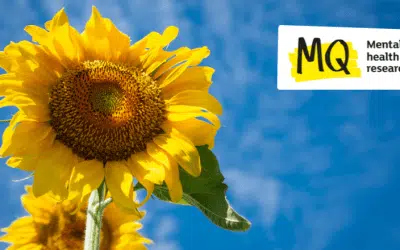 Free Yourself From Worry: Make A Will For Free