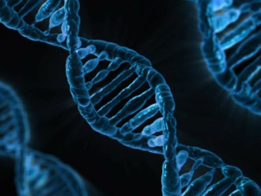 Impact of Genetic Risk Factors on People With Schizophrenia